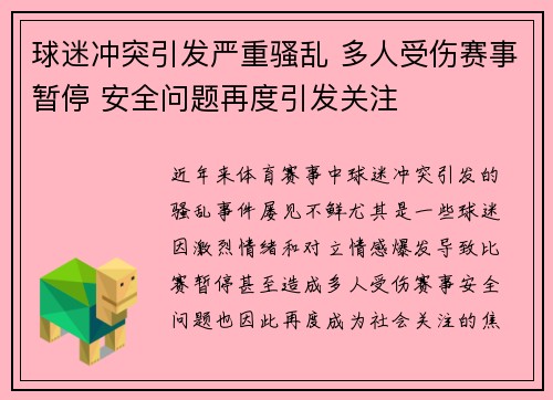 球迷冲突引发严重骚乱 多人受伤赛事暂停 安全问题再度引发关注